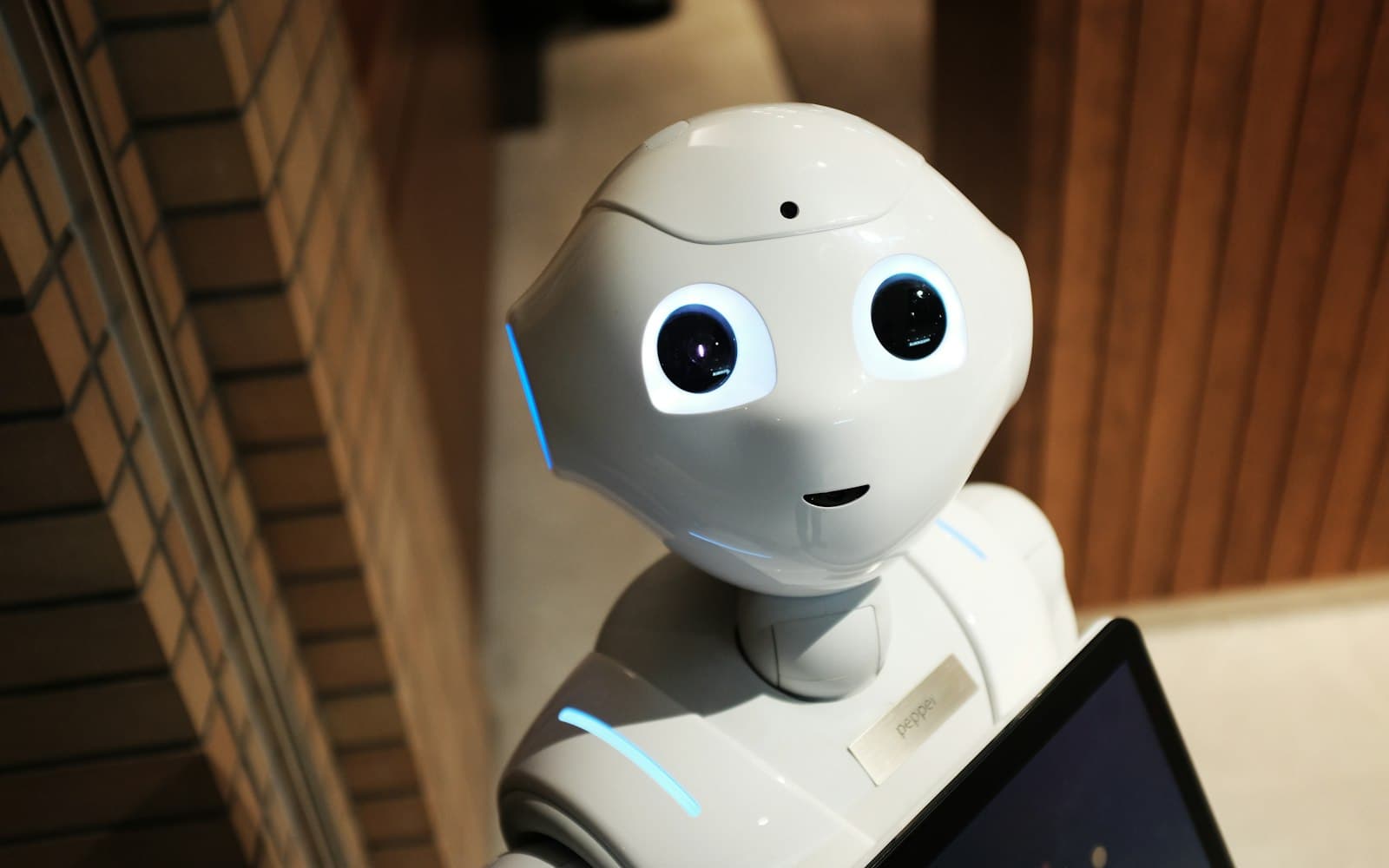 AI Agents: What They Actually Are and What They Can Do for Your Business